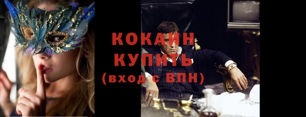 ПСИЛОЦИБИНОВЫЕ ГРИБЫ Кодинск