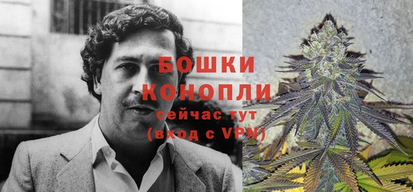 хмурый Валдай