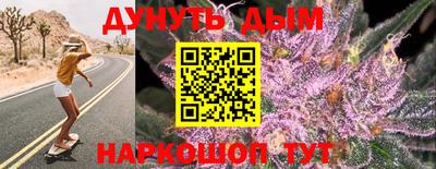 мдпв Жуковский