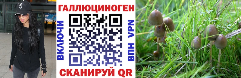 площадка наркотические препараты  магазин продажи наркотиков  Лыткарино  Галлюциногенные грибы GOLDEN TEACHER 