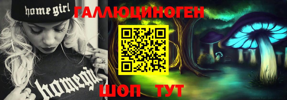 Псилоцибиновые грибы Psilocybe Лыткарино