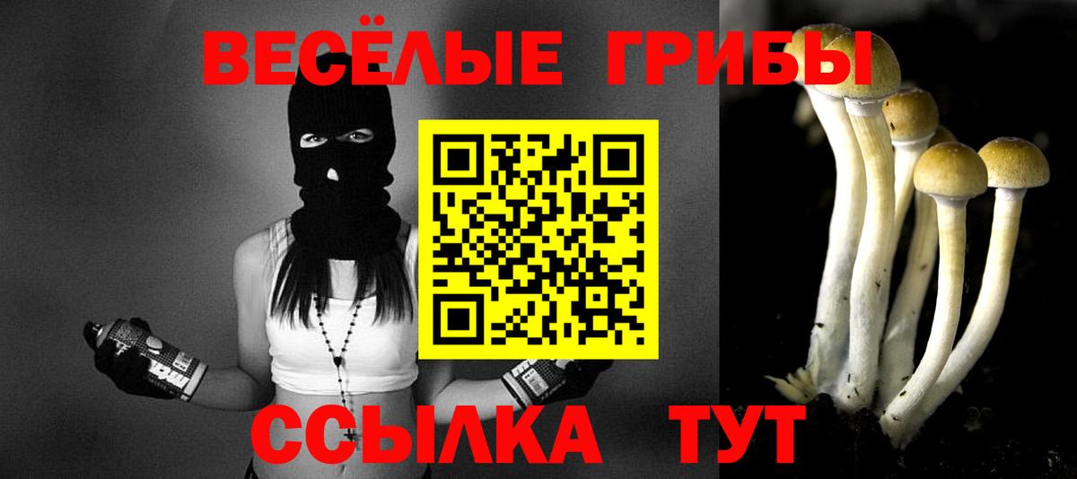Лыткарино  Псилоцибиновые грибы мицелий  купить наркотик  Псилоцибиновые грибы MAGIC MUSHROOMS  Вход с VPN 