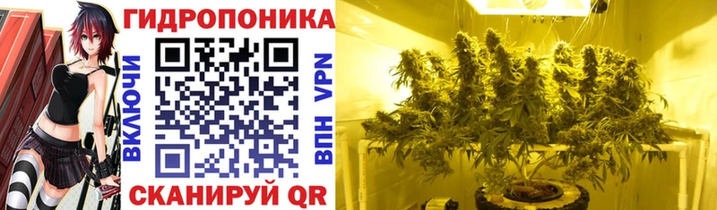Шишки марихуана White Widow  Лыткарино 